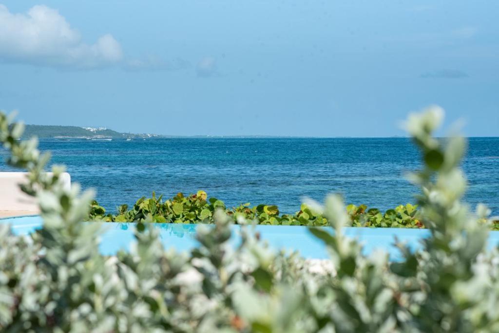 Ferienwohnung Pasha - Ocean View Sainte-Anne  Exterior foto